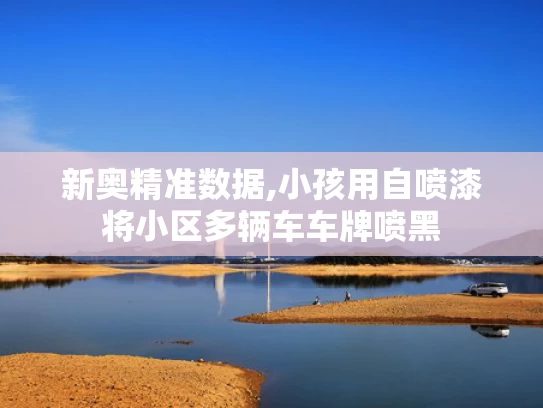 新奥精准数据,小孩用自喷漆将小区多辆车车牌喷黑