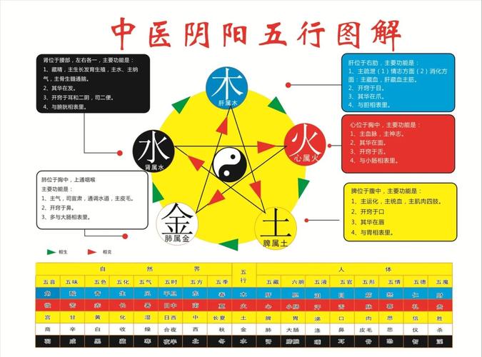 五行相生相克的精准排肖公式,（五行相生相克的精准排肖公式有哪些）