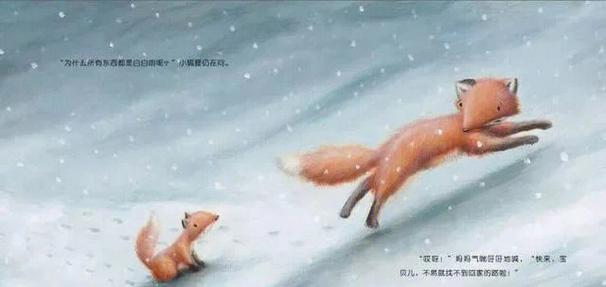 生命奇迹小狐狸,（生命奇迹小狐狸在线观看）