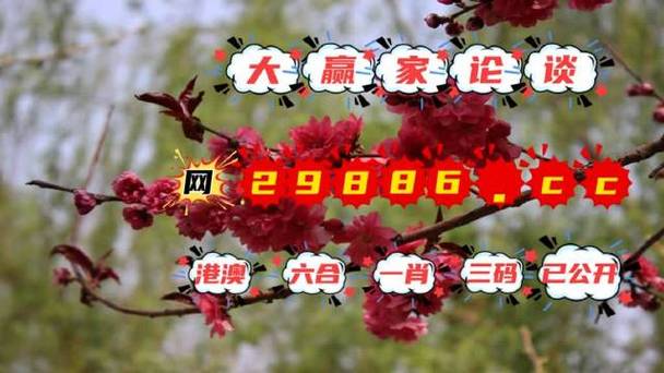 四肖中特期期准四免费公开资料,（四肖中特期期准四免费公开资料2020官）