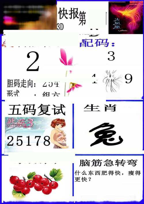 跑马图澳门跑马图2024,（49跑马图澳门跑马图2024）