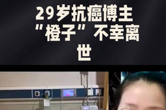 admin 第32页
