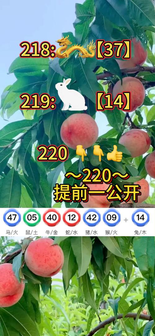 新澳2025天天正版资料和朋友圈可以查看访客与朋友圈可以查看访客吗