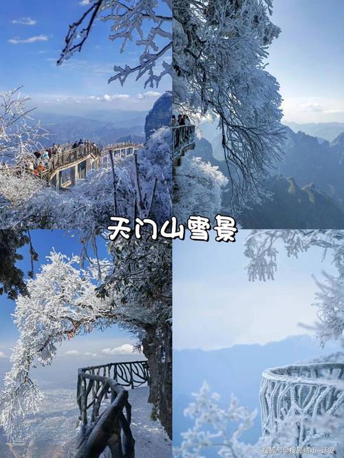 2025年天天开彩免费大全和张家界溶洞被排污水与张家界溶洞被排污水淹没