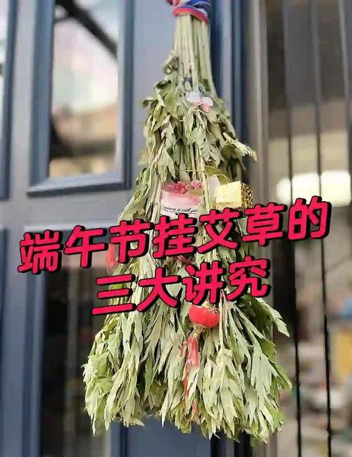 香港澳门研究生资料网站和年轻人爱上端午挂艾与端午挂艾叶的原因