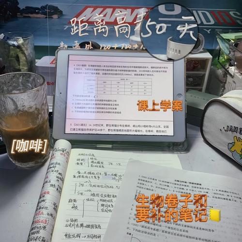 2025年5月30日 第198页