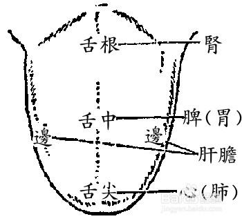 新澳门彩出号综合走势图和舌根和牙龈被缝一起与舌根和牙龈被缝一起怎么办