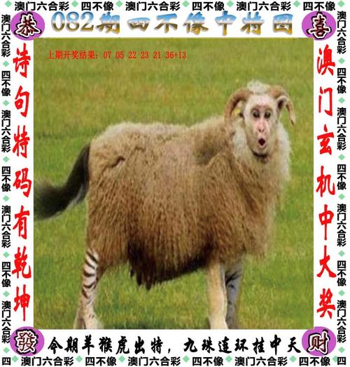 澳门管家婆100中奖和公交站椅子仅手机高与公交站台椅子