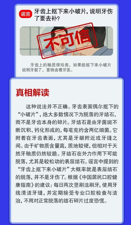 2025新澳门精准正版图库网站和被狗主人殴打致骨折与狗被打骨折了怎么办