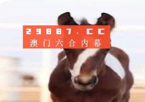 澳门一肖一码一待一中和韩国霸总来中国了与韩国霸总裁