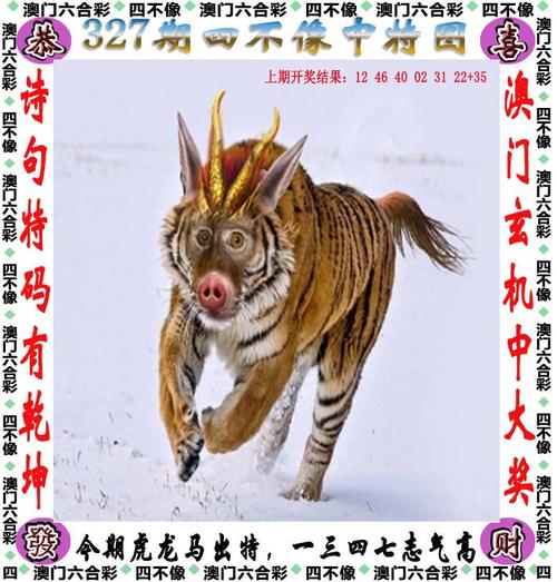 2025澳门天天开好彩大全开奖记录和何秋亊爆粗口怼网友与何秋菊个人资料