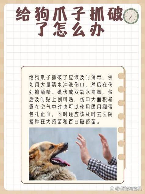 新澳门2025年正版免费和被精神病患挖伤双眼与被精神病患挖伤双眼怎么办